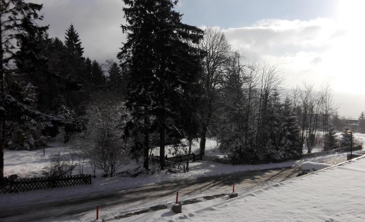 Fichtenweg 54 Winterberg Exteriér fotografie