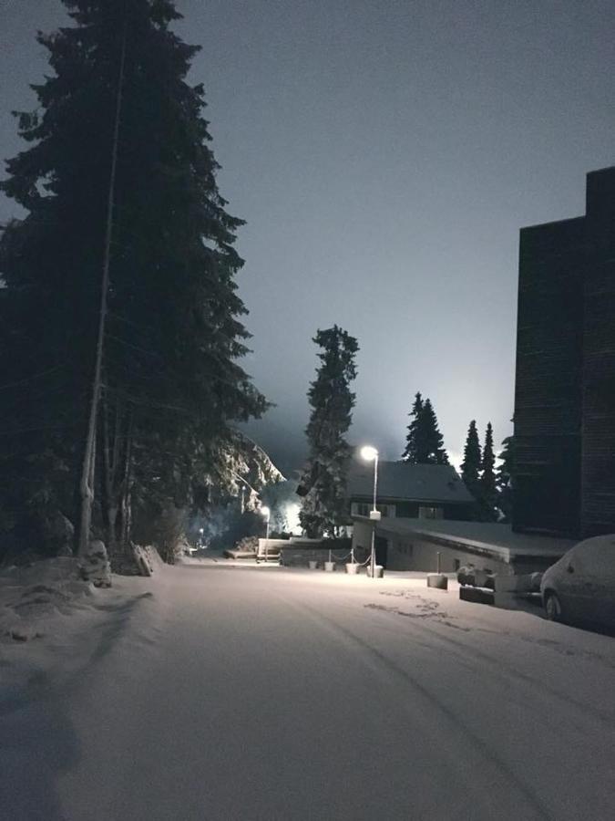 Fichtenweg 54 Winterberg Exteriér fotografie